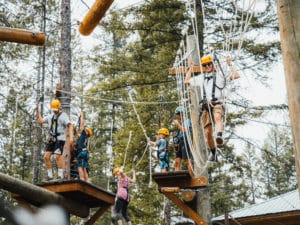 Elements of a High Ropes Course - Glacier Highline