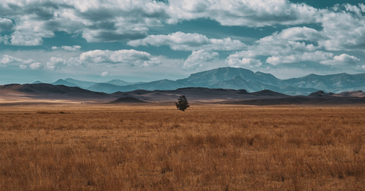 Bozeman to Glacier National Park