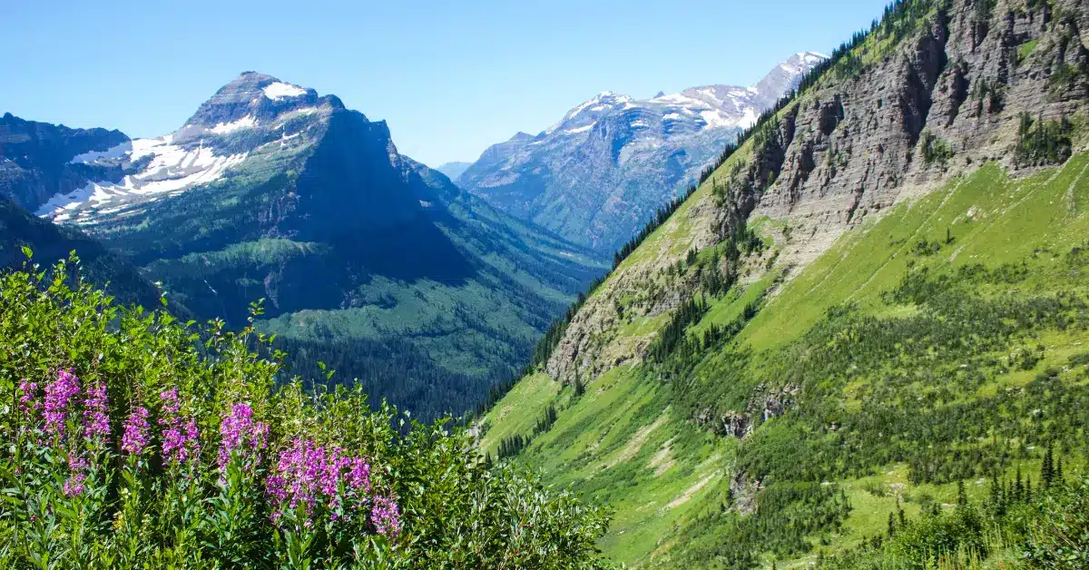 Glacier National Park Drive - East Glacier