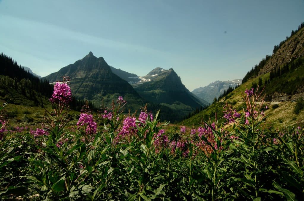 Glacier National Park opening 2021 Glacier National Park opening 2021