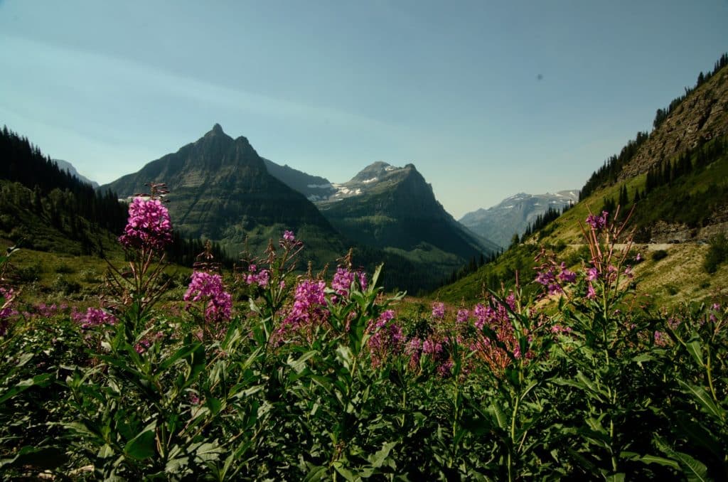 Glacier National Park opening 2021