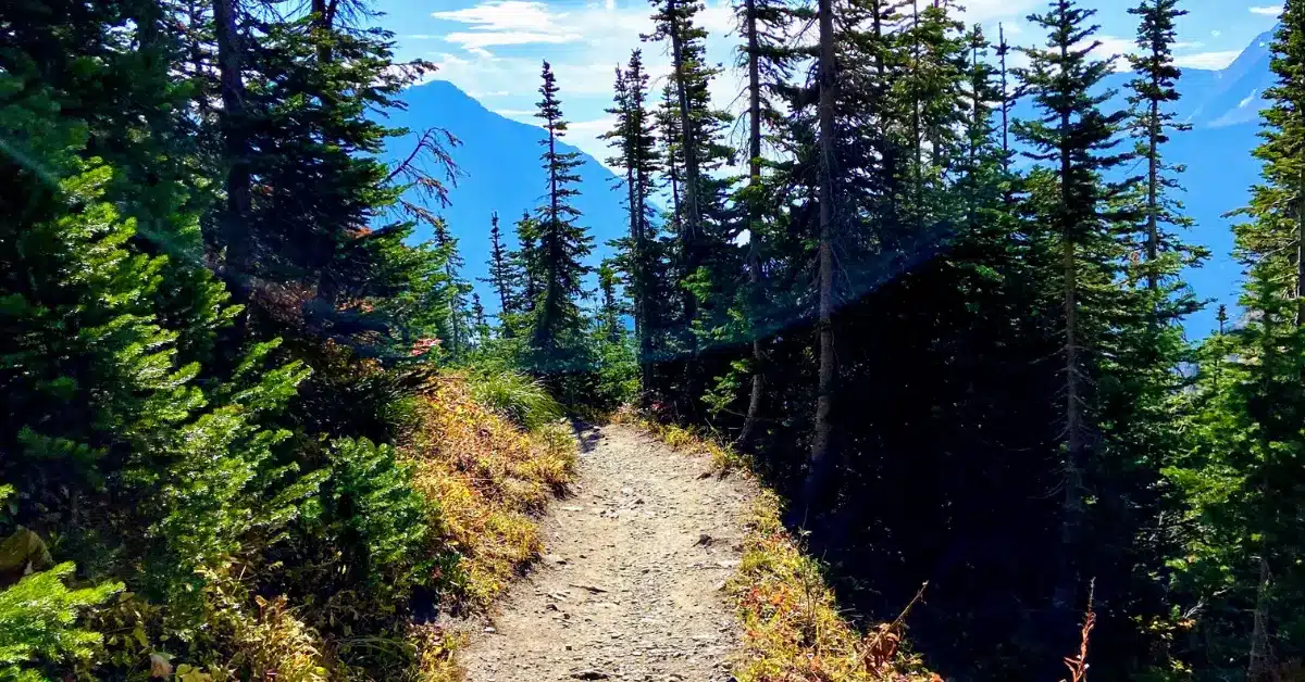 highline-trail-glacier-national-park Highline Trail GNP