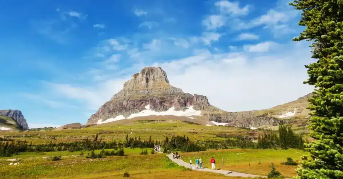 logan-pass Logan Pass Glacier National Park
