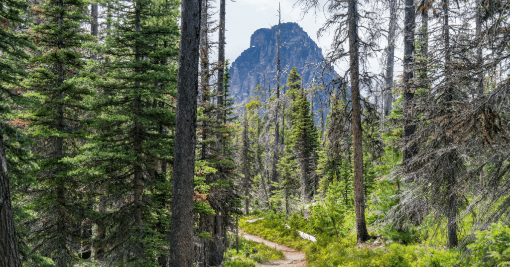 hiking-east-glacier-national-park hiking east glacier national park near two medicine lake