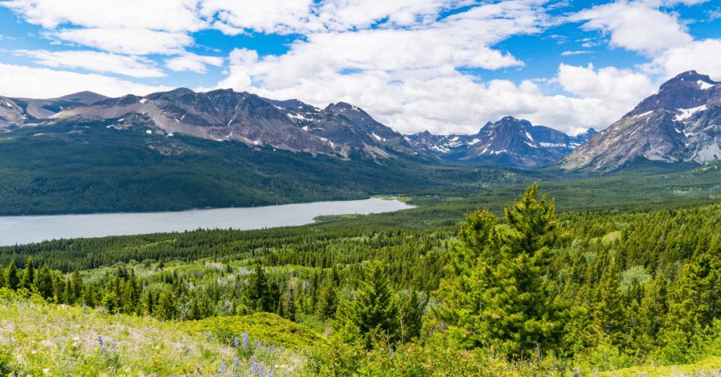 lookout-two-medicine-lake view of two medicine lake