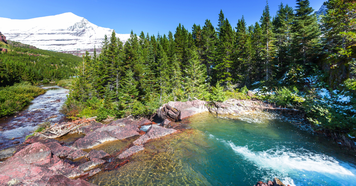 view in glacier national park